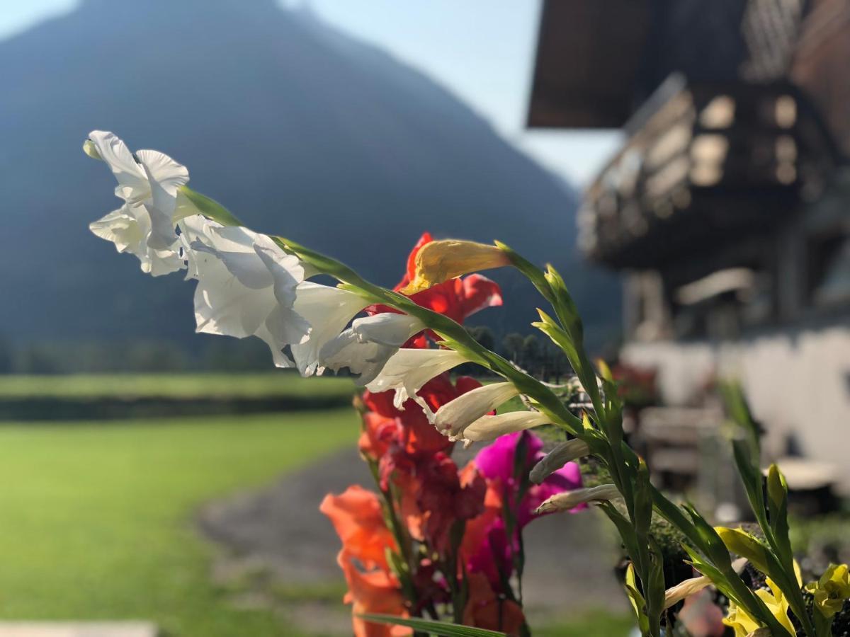 Gaestehaus Dreier Neukirchen am Großvenediger Екстериор снимка